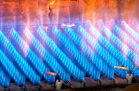 Shorne Ridgeway gas fired boilers